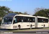 Araucária Transportes Coletivos 19M78 na cidade de Curitiba, Paraná, Brasil, por Busologia Gabrielística. Número da foto: #13243476.