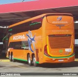Empresa de Transportes Andorinha 7168 na cidade de São Carlos, São Paulo, Brasil, por Ronaldo Pastore. Número da foto: #:id.