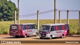 Rosinha Turismo 74000 na cidade de Cândido Mota, São Paulo, Brasil, por Francisco Ivano. Número da foto: #13243749.