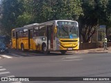 Sancetur - Sou São Carlos 26147 na cidade de São Carlos, São Paulo, Brasil, por NEIDEMAR SANTOS. Número da foto: #:id.