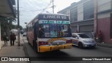 Lince 401 na cidade de San Lorenzo, Central, Paraguai, por Eliezzer Villasanti Berni. Número da foto: #13246343.