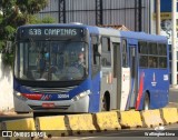 Transportes Capellini 32.054 na cidade de Sumaré, São Paulo, Brasil, por Wellington Lima. Número da foto: #13246773.