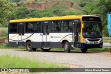 Viação Progresso 10138 na cidade de Sapucaia, Rio de Janeiro, Brasil, por Eliziar Maciel Soares. Número da foto: #13244943.