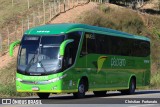 Pássaro Verde 18916 na cidade de Coimbra, Minas Gerais, Brasil, por Christian  Fortunato. Número da foto: #13244250.