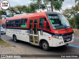 ATL - Associação dos Transportadores de Passageiros por Lotação 200 na cidade de Porto Alegre, Rio Grande do Sul, Brasil, por Davi Justin Oliveira. Número da foto: #13245696.