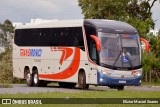 Trans Monici 1393 na cidade de Brasília, Distrito Federal, Brasil, por Eliziar Maciel Soares. Número da foto: #13244902.