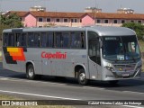 Transportes Capellini 34021 na cidade de Campinas, São Paulo, Brasil, por Gabriel Oliveira Caldas da Nobrega. Número da foto: #13245516.