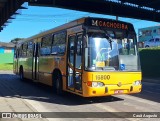 Viação Tamandaré 16800 na cidade de Almirante Tamandaré, Paraná, Brasil, por Cauã Augusto. Número da foto: #13244194.