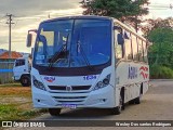 Águia 1634 na cidade de Viamão, Rio Grande do Sul, Brasil, por Wesley Dos santos Rodrigues. Número da foto: #13245119.