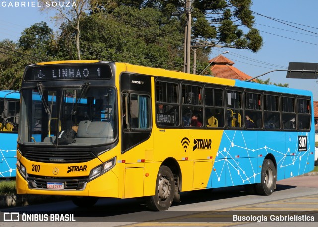 Imperial Transporte e Locação 307 na cidade de Araucária, Paraná, Brasil, por Busologia Gabrielística. Número da foto: #13249382.
