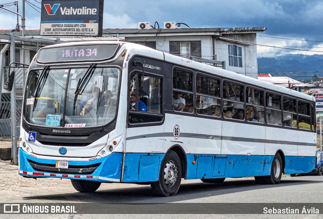 Buses Guadalupe 86 na cidade de Guadalupe, Goicoechea, San José, Costa Rica, por Sebastian Ávila. Número da foto: #13248091.