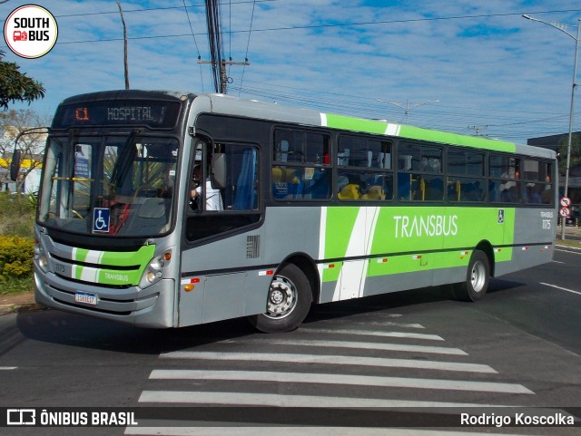 Transbus Cachoeirinha 1175 na cidade de Cachoeirinha, Rio Grande do Sul, Brasil, por Rodrigo Koscolka. Número da foto: #13248945.