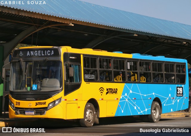 Imperial Transporte e Locação 319 na cidade de Araucária, Paraná, Brasil, por Busologia Gabrielística. Número da foto: #13249521.