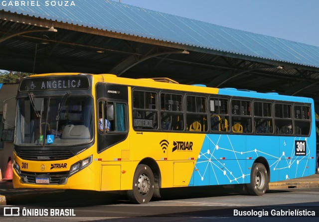 Imperial Transporte e Locação 301 na cidade de Araucária, Paraná, Brasil, por Busologia Gabrielística. Número da foto: #13249607.