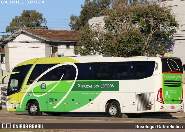 Expresso Princesa dos Campos 6460 na cidade de Curitiba, Paraná, Brasil, por Busologia Gabrielística. Número da foto: #13249618.