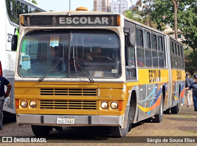 Escolares 2442 na cidade de Campinas, São Paulo, Brasil, por Sérgio de Sousa Elias. Número da foto: #13249077.