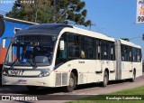 Araucária Transportes Coletivos 19M77 na cidade de Araucária, Paraná, Brasil, por Busologia Gabrielística. Número da foto: #13249486.