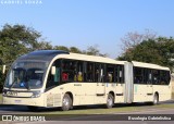 Araucária Transportes Coletivos 19M71 na cidade de Curitiba, Paraná, Brasil, por Busologia Gabrielística. Número da foto: #13249126.