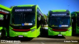 Auto Viação Transcap >> Auto Bless Transportes 8 5881 na cidade de São Paulo, São Paulo, Brasil, por Roberto Teixeira. Número da foto: #13248586.