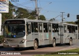 Araucária Transportes Coletivos 19R94 na cidade de Araucária, Paraná, Brasil, por Busologia Gabrielística. Número da foto: #13249603.