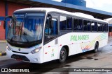 Expresso Palmares 31 na cidade de Porto Alegre, Rio Grande do Sul, Brasil, por Paulo Henrique Pereira Borges. Número da foto: #13248932.