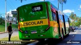 Transportes Capellini 12354 na cidade de Paulínia, São Paulo, Brasil, por Allan Henrique. Número da foto: #13247568.