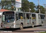 Araucária Transportes Coletivos 19R95 na cidade de Araucária, Paraná, Brasil, por Busologia Gabrielística. Número da foto: #13249513.