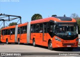 Viação Cidade Sorriso >> Viação Sorriso de Curitiba GE733 na cidade de Curitiba, Paraná, Brasil, por Busologia Gabrielística. Número da foto: #13249170.