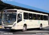 Araucária Transportes Coletivos 19065 na cidade de Araucária, Paraná, Brasil, por Busologia Gabrielística. Número da foto: #13249528.