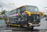 Flecha Bus 43713 na cidade de Balneário Camboriú, Santa Catarina, Brasil, por Jacy Emiliano. Número da foto: #13248056.