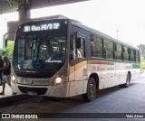 Borborema Imperial Transportes 379 na cidade de Recife, Pernambuco, Brasil, por Ytalo Alves. Número da foto: #13247495.