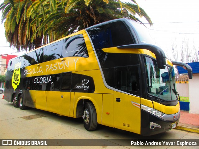 CVU 154 na cidade de Santa Cruz, Colchagua, Libertador General Bernardo O'Higgins, Chile, por Pablo Andres Yavar Espinoza. Número da foto: #13252743.
