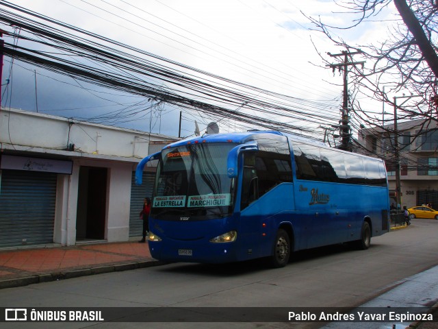 Buses Matus ZU6236 na cidade de Santa Cruz, Colchagua, Libertador General Bernardo O'Higgins, Chile, por Pablo Andres Yavar Espinoza. Número da foto: #13252669.