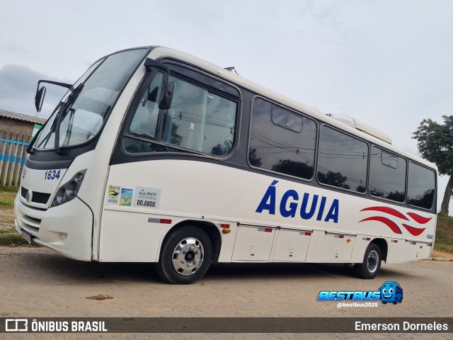 Águia 1634 na cidade de Alvorada, Rio Grande do Sul, Brasil, por Emerson Dorneles. Número da foto: #13251516.