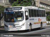 Viação Agulhas Negras RJ 169.021 na cidade de Volta Redonda, Rio de Janeiro, Brasil, por Rodrigo Miguel. Número da foto: #13252296.