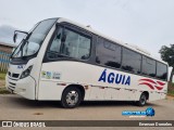Águia 1634 na cidade de Alvorada, Rio Grande do Sul, Brasil, por Emerson Dorneles. Número da foto: #13251516.