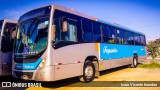 Auto Ônibus Fagundes RJ 101.137 na cidade de Niterói, Rio de Janeiro, Brasil, por Icaro Vicente brandao. Número da foto: #:id.
