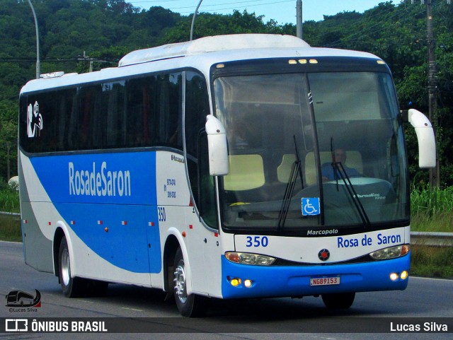 Rosa de Saron 350 na cidade de Recife, Pernambuco, Brasil, por Lucas Silva. Número da foto: #13255203.