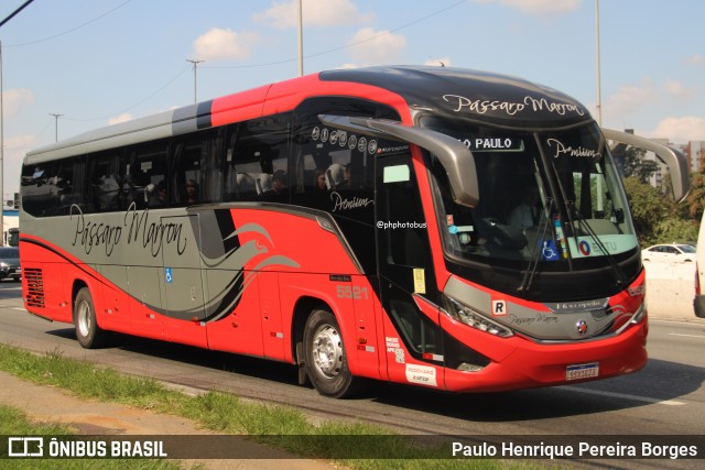 Empresa de Ônibus Pássaro Marron 5521 na cidade de São Paulo, São Paulo, Brasil, por Paulo Henrique Pereira Borges. Número da foto: #13255758.