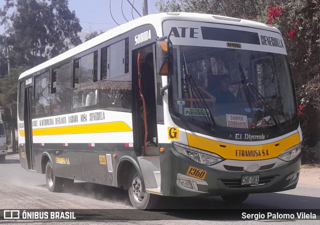 Empresa de Transportes Rápido Musa S.A. - ETRAMUSA 181 na cidade de Cieneguilla, Lima, Lima Metropolitana, Peru, por Sergio Palomo Vilela. Número da foto: #13253759.
