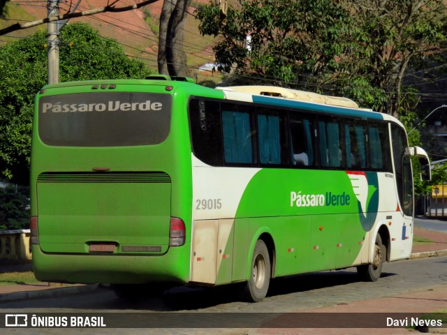 Pássaro Verde 29015 na cidade de Ponte Nova, Minas Gerais, Brasil, por Davi Neves. Número da foto: #13255914.