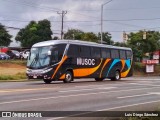 Musoc 79 na cidade de Daniel Flores, Pérez Zeledón, San José, Costa Rica, por Luis Diego Sánchez. Número da foto: #13254484.