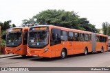 Transporte Coletivo Glória BI606 na cidade de Curitiba, Paraná, Brasil, por Matheus Ribas. Número da foto: #13254890.