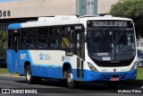 Transol Transportes Coletivos 50371 na cidade de Florianópolis, Santa Catarina, Brasil, por Matheus Ribas. Número da foto: #13254775.