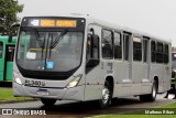 Auto Viação São José dos Pinhais EL340 na cidade de Curitiba, Paraná, Brasil, por Matheus Ribas. Número da foto: #13254985.