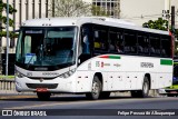 Borborema Imperial Transportes 815 na cidade de Recife, Pernambuco, Brasil, por Felipe Pessoa de Albuquerque. Número da foto: #:id.