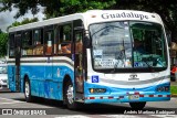 Buses Guadalupe 16 na cidade de San José, San José, Costa Rica, por Andrés Martínez Rodríguez. Número da foto: #13252973.