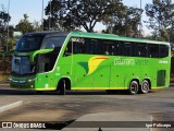Pássaro Verde 12125 na cidade de Brasília, Distrito Federal, Brasil, por Igor Policarpo. Número da foto: #13255962.