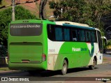 Pássaro Verde 29015 na cidade de Ponte Nova, Minas Gerais, Brasil, por Davi Neves. Número da foto: #13255914.