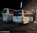 Regional Transportes 11110 na cidade de Oliveira, Minas Gerais, Brasil, por Andre Santos de Moraes. Número da foto: #13254704.